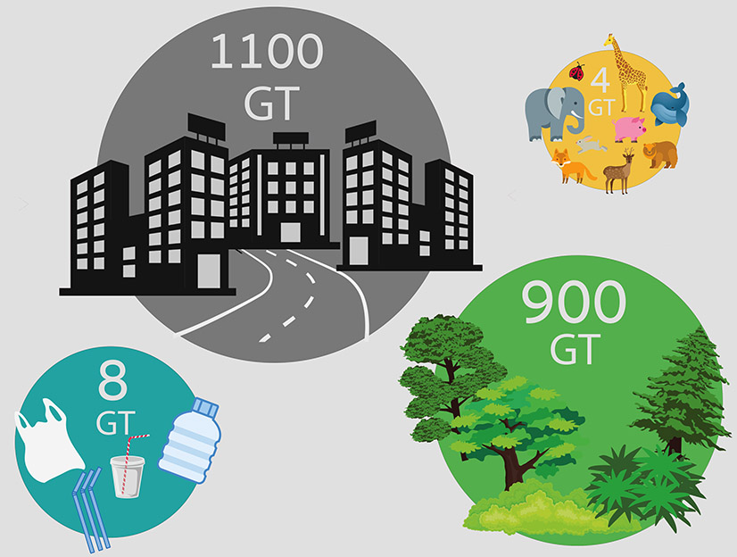 Building materials vs animals vs trees vs plastic